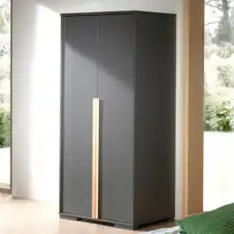 Kleiderschrank London 98cm mit 2 Türen - anthrazit Nur Heute