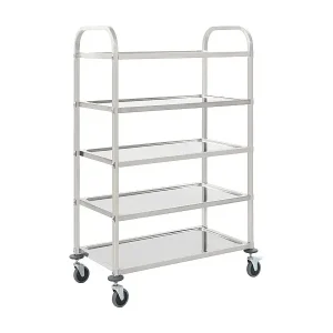 5-Stufiger Servierwagen 107 x 55 x 147 cm Edelstahl Preisreduziert